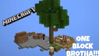 ONE BLOCK BUT WITH MODS!!! | One Block #1