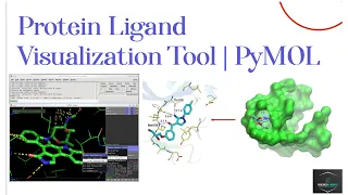 Protein Ligand Visualization Tool | PyMOL Tutorial for Beginners