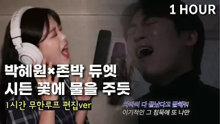 [1시간 무한루프] 존박×박혜원 시든 꽃에 물을 주듯 듀엣 1hour