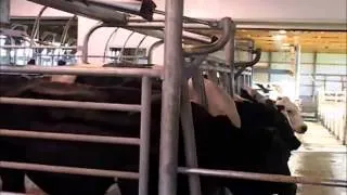 Delaval Parallel Parlor