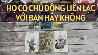 Chọn 1 tụ bài Tarot - Họ có chủ động liên lạc với bạn hay không - Alo Andy