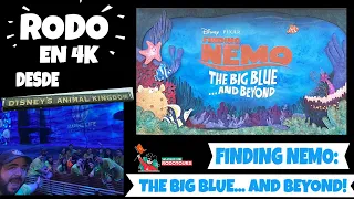 RODO 4K: THE BIG BLUE... AND BEYOND!  SHOW COMPLETO