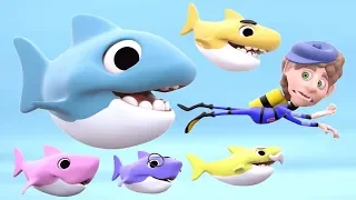 Baby Shark Song | 3D Rhymes Animal Songs | Learn English Kids