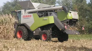 Claas Trion 650 NEW FIRST IN SLOVENIA