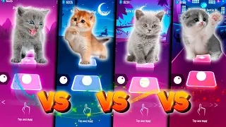 CUTE CATS BTS FAKE LOVE VS GUMMY BEAR VS SHAKIRA WAKA WAKA VS JUSTIN BIEBER TILES HOP EDM RUSH