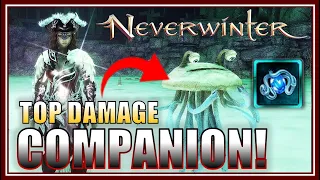 NEW BEST Damage Companion! (ninja buff) Over 5 Million Damage AoE Hits! - Neverwinter M27