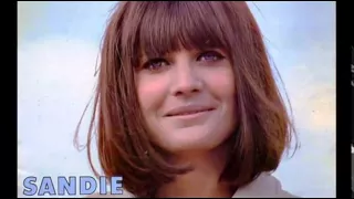 Sandie Shaw  - E ti avrò - 1969. CSF Rieti.