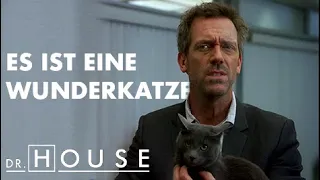 Eine Katze sagt den Tod voraus | Dr. House DE