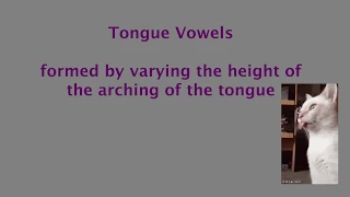 Diction for Singers A Complete Guide to IPA Tongue Vowels