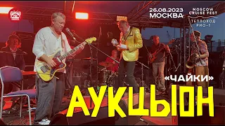 Аукцыон - Чайки (Live • Москва • 26.08.2023)