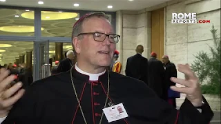 Bishop Barron at his first synod: Social Media is a miracle of God's Providence
