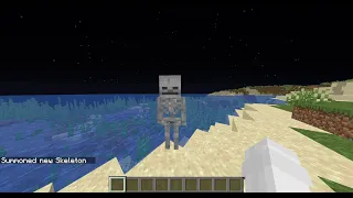 How to spawn a Skeleton without a bow in Minecraft