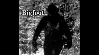 Bigfoot