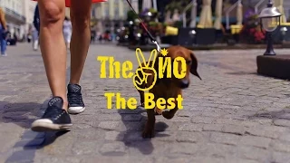 The ВЙО - The Best (official)