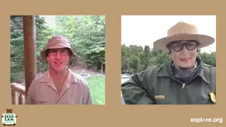 Live Chat: Dominance and Hierarchy in Brown Bears with Ranger Naomi and Mike Fitz