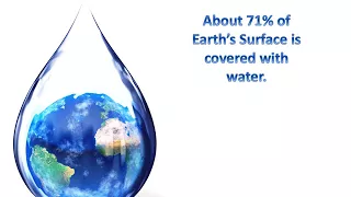 Water Cycle System And Plants Role