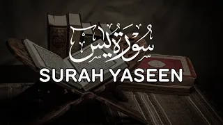 Surah Yasin 11 Times Repeated Recitation for Deep Sleep | Solving Your Problem | سورة يس