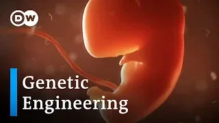 Chinese scientist claims birth of world's first gene-edited babies | DW News