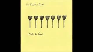 Night of the Mules by the Mountain Goats