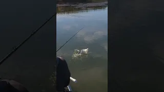 😐Pike Swimbait Fishing FAIL🙃