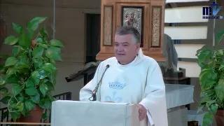 Homilía de Hoy│Solemnidad de Asunción de la Santísima Virgen María│15-08-2023|P. Santiago Martín, FM