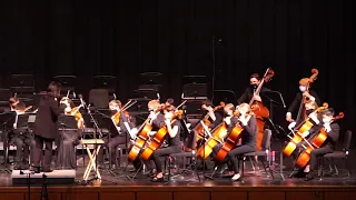 10,000 Hours, Dan + Shay & Justin Bieber, arr. Sarah Insalaco Olsen - PYCO Chamber Strings