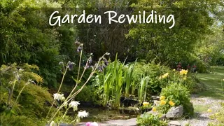 Garden Rewilding