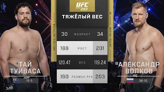 БОЙ: Тай Туиваса - Александр Волков | UFC 293