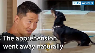 The apprehension went away naturally [Dogs are incredible : EP.137-4] | KBS WORLD TV 220830