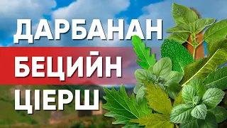 ДАРБАНАН БЕЦИЙН ЦIЕРШ