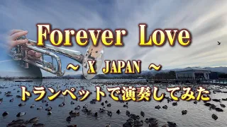 Forever Love ～ X JAPAN ～トランペットで演奏してみた