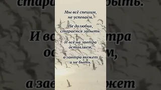 Мы всё спешим...