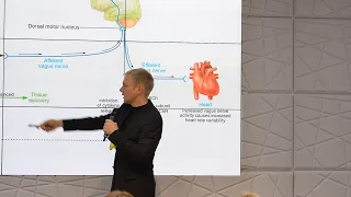 Перезагрузка-3: когнитивное желание, чувства и осознанность.