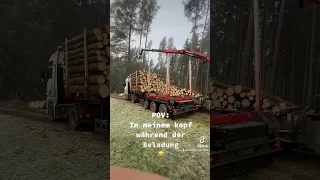 #holztransport #mantgxeuro6 #woodtruck #direktladung