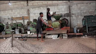 Palm kernel oil, mini processing plant in Nigeria