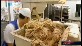 Качество казахстанского хлеба испортилось из-за российской фуражной пшеницы,  - производители
