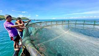 Ito na ang Bago! Bangus Farming in Cages. Fish Ponds Hindi na Uso!