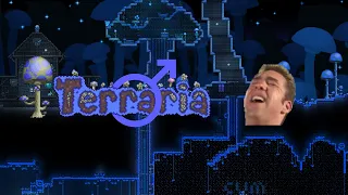 Terraria Music - ♂Mushrooms♂ (RIGHT VERSION)