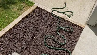 Costco Rubber Mulch after 2 years