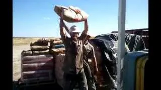 пошутил на стройке/joked at a construction site