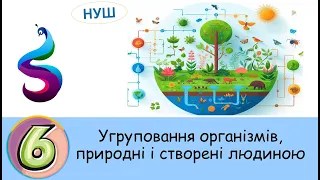 Що таке  природні та штучні угруповання.Які є угруповання організмів