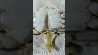 Crab Dissection