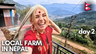 Living on a local farm in Nepal🇳🇵|  day 2