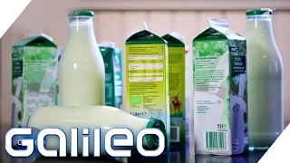 Milch im Vergleich: Welche ist die beste? | Galileo Lunch Break