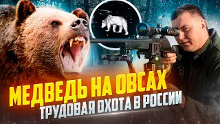 Медведь на овсах! Охота на хищника в России с Олегом Крупицей.