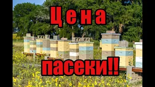 Сколько нужно денег на пасеку! Старые пчеловоды их ошибки! Улья ППС и ППУ лучший мёд в Мире!