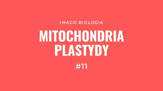 Mitochondria i plastydy