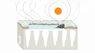 Why Siberia's permafrost could be a huge carbon problem