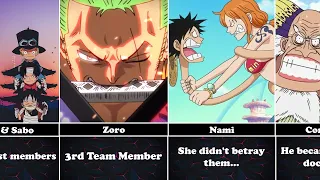 What if everyone Luffy asked to join his crew in One Piece?