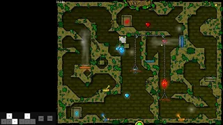 Fireboy and Watergirl 1 Level 21 100% 1 player speedrun in 18 seconds